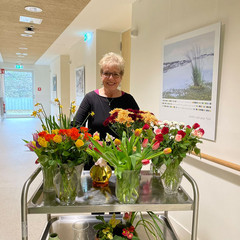 Eine ehrenamtlich engagierte Frau schiebt mehrere Glasvasen mit Blumen auf einem Schiebewagen durch einen Flur des Diakonie Hospiz Woltersdorf und blickt lächelnd in die Kamera.