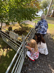 Zwei Kinder und eine Seniorin blicken zu einem Schaf im Gehege beim Besuch der "Rollenden Arche“ mit ihrem mobilen Streichelzoo bei der Senioreneinrichtung Immanuel Haus am Kalksee in Rüdersdorf