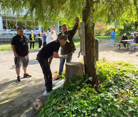 Mitarbeitende beim Hammerschlagen an einem Baum im Park der Immanuel Klinik Märkische Schweiz Mitarbeitende beim Hammerschlagen an einem Baum im Park der Immanuel Klinik Märkische Schweiz