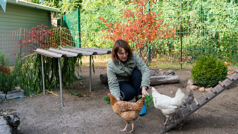 Eine Mitarbeiterin füttert im Garten des Diakonie Hospiz Woltersdorf zwei Hühner am Boden
