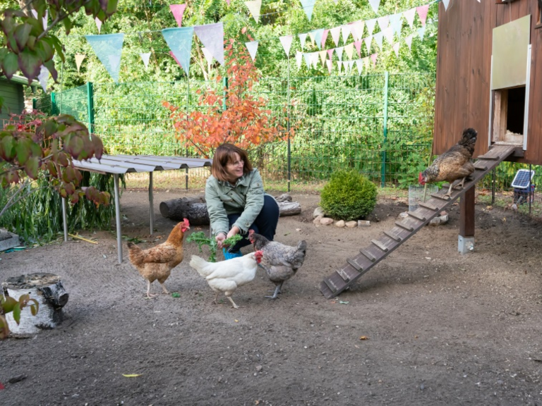 Eine Frau hockt auf dem Boden und hat mehrere Hühner in einem Gehege um sich herum im Diakonie Hospiz Woltersdorf