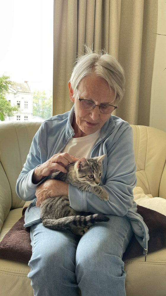 Hospizgast hält und streichelt eine junge getigerte Katze im Diakonie Hospiz Woltersdorf Hospizgast hält und streichelt eine junge getigerte Katze im Diakonie Hospiz Woltersdorf