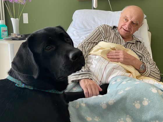 Diakonie Hospiz Woltersdorf - Kampagne 24/7 - Besuchshund Balou erfreut einen Gast Diakonie Hospiz Woltersdorf - Kampagne 24/7 - Besuchshund Balou erfreut einen Gast